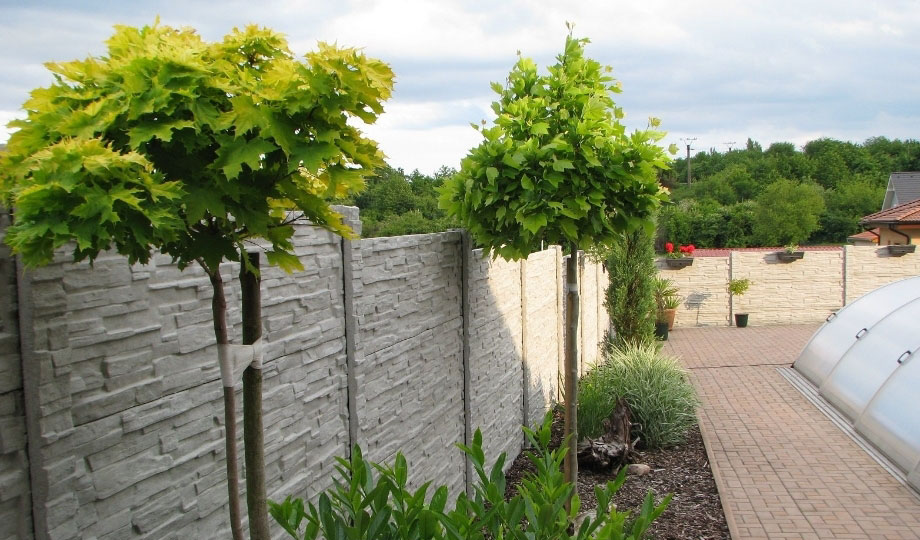 Clôture béton 3D grise avec arbres près de piscine